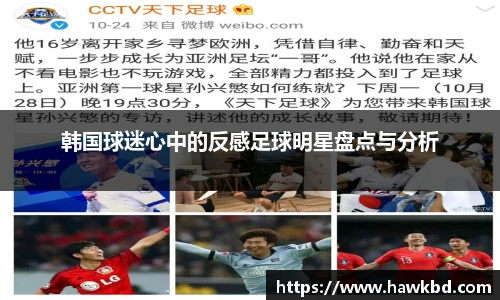 韩国球迷心中的反感足球明星盘点与分析